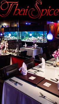 Thai Spice Thai Spice